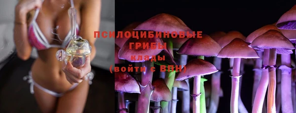 мяу мяу мука Армянск
