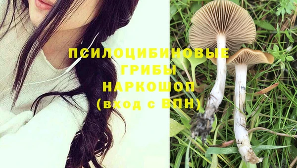 мяу мяу мука Армянск